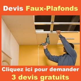 Rats dans un faux plafond pro : diagnostic et remise en état 1 traces de rats sur dalles de faux plafond professionnel